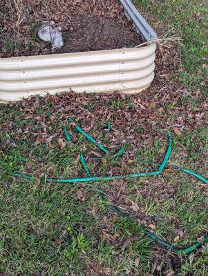 Leaves on ground and mowed over hose.