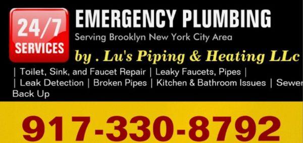 Plumbing  and sewer ,back up