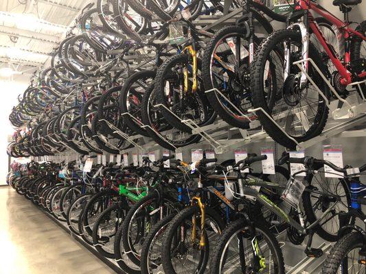 Plenty of bike options