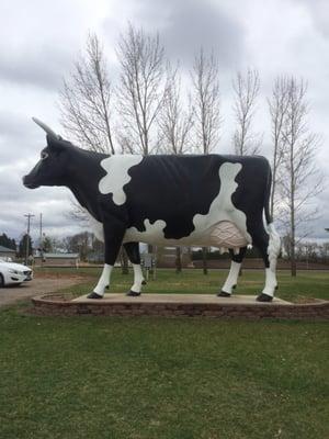 Say hello to the giant cow!