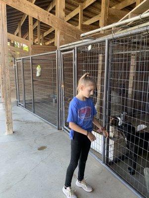 Our tour guide.  Very knowledgeable and friendly. She knew every animals name and backstory.  Truly impressive young lady.