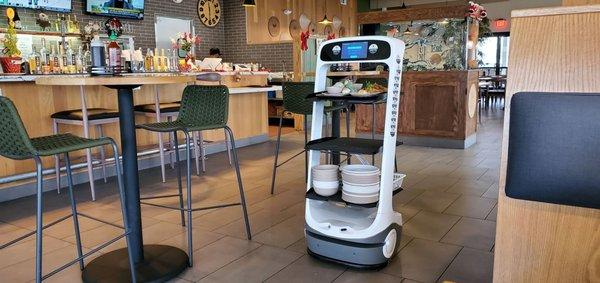 Pudu Type Robotic Food Delivery Waiter