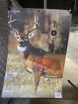 Buck target from 25 yards. 2.5 magnification.