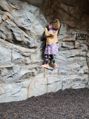 Redwood Creek Challenge Trail