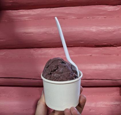 Black Raspberry Ice Cream with Chocolate-Raspberry Truffles (Kids size)