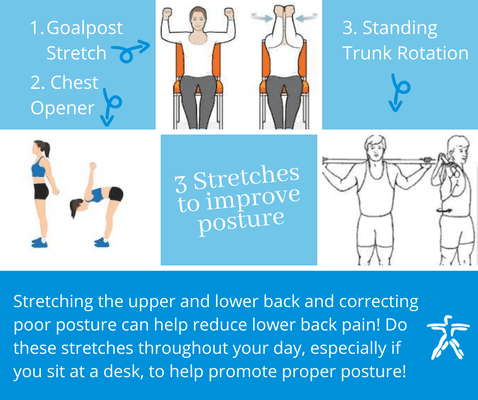 We're talking all about low back pain and posture this month and we're here to provide you with a few stretches that can help improveposture