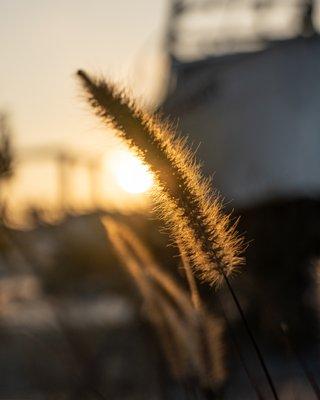 End Of The Day At The Ventura Harbor Village