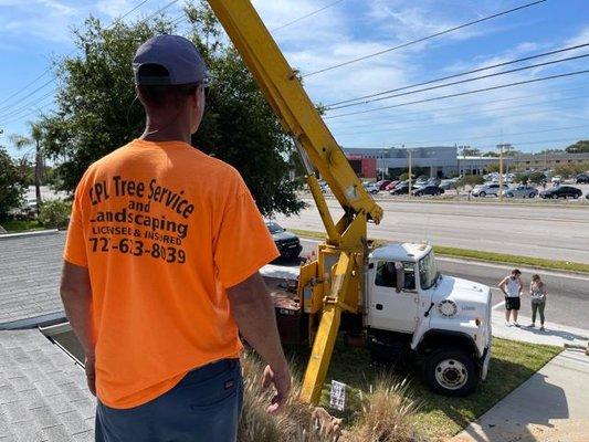 CPL Tree Service & Landscaping