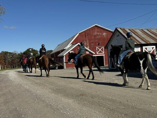 Horseback riding