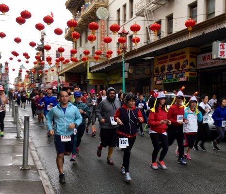 Chinese New Year Run 2017 Year of the Rooster