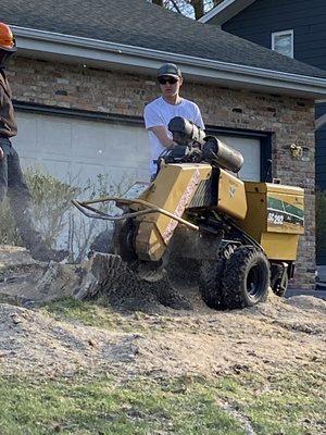 We do big and little stump removal