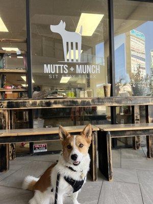 Kona's first time at Mutts + Munch