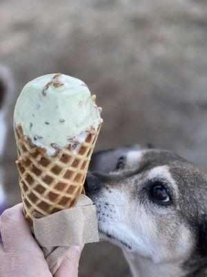 Pistachio single scoop in a cone