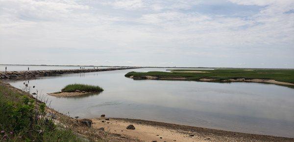 7-11-21 at the Salt Marsh getting ready