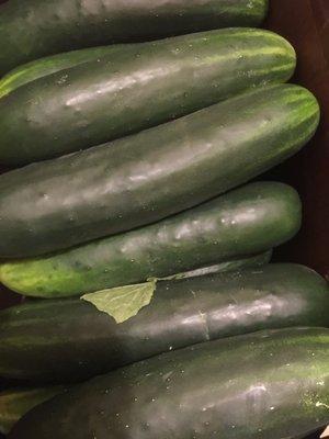 More fresh produce in season - local cucumbers.