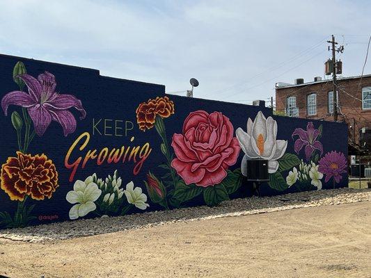 Beautiful mural across the street from Roy's on King