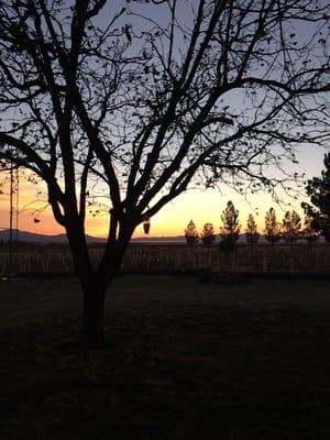 Sunset from the patio at Pillsbury