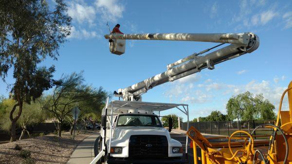 Safely trimming trees near the roadway.