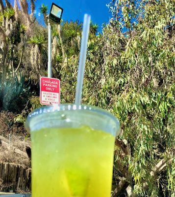 Iced Green Tea and Cholada's back hillside in Malibu