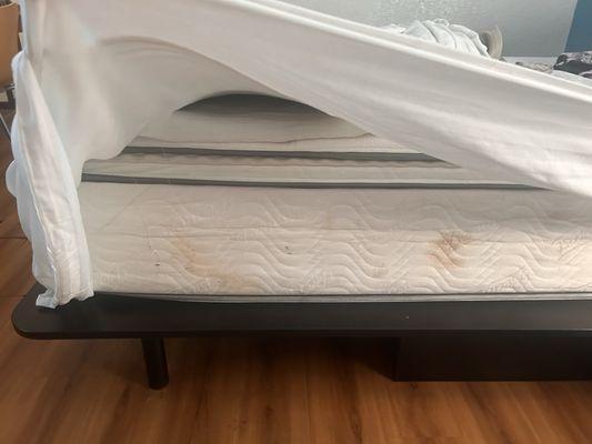 Nasty dirty stained mattress