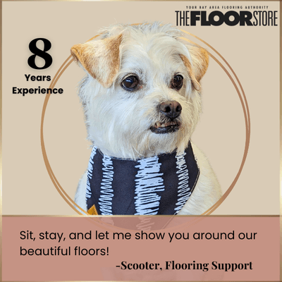 For expert advice from seasoned flooring professionals, call For expert advice from seasoned flooring professionals, call 415-216-2311