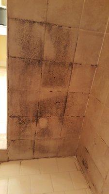 Does your shower look like this? We can help.