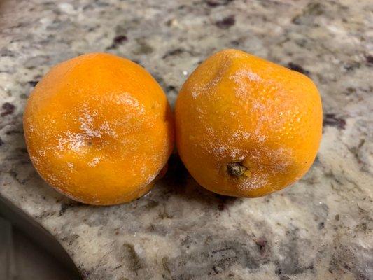 Mouldy tangerines