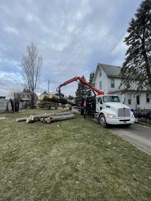 Wood removal from customers home