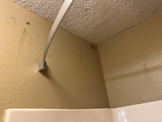 Lots of black stains or mold or something all over bathroom of room 312