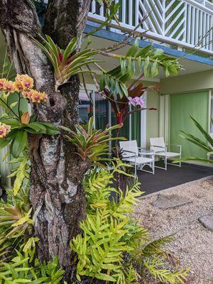 Patio off the room, overlooking pool and lawn.