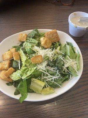 Very good Caesar salad.