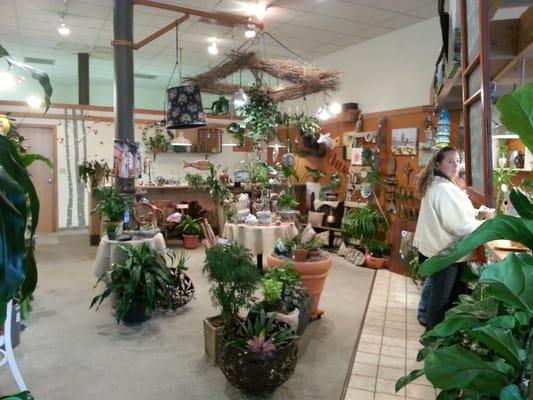 Blossoms and Beans -- artisan home decor, coffee & large selection of loose-leaf teas.