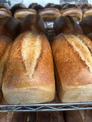 Fresh sourdough out of the oven