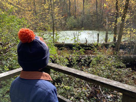 The boy looking at a peaceful scene on the trail and likely dreaming of a McDonald's happy meal