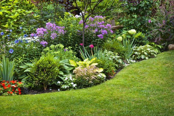 Begin improving your outdoor environment - Spring is the time of plants and projects