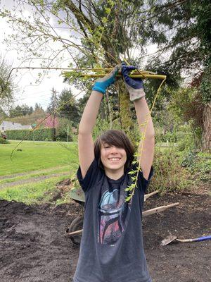 Middle School student gardening.