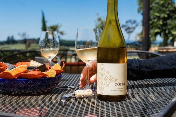 Our refreshing 2023 Pinot gris pairs perfectly with our chips and salsa de la cocina! Notes of sweet pear, honey, and lemongrass.