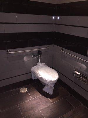 Commercial Toilet Installation