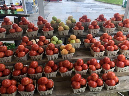 Fresh tomatoes