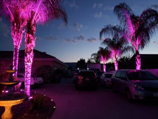 Lighting - Private Residence Event, Murrieta, CA