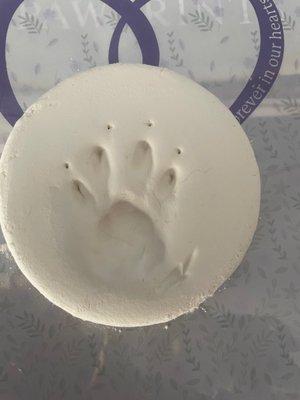 My cat's paw print, taken by Dr. Stone with Lap of Love.