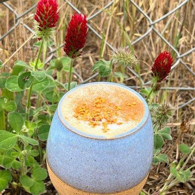 Honey Bee Latte (honey latte topped with cinnamon and bee pollen)