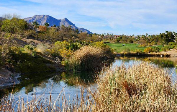 16th hole from the tee box