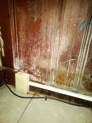 Mold in room 12