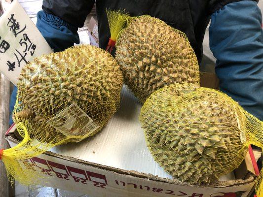 Fresh Durian