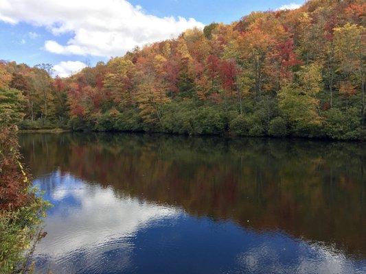 A throwback to October 2016 in the park near Boone NC