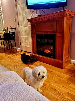 Starry Night room. Our doggie loved it and wants an electric fireplace too now! :)