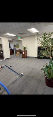 Commercial office carpet cleaning