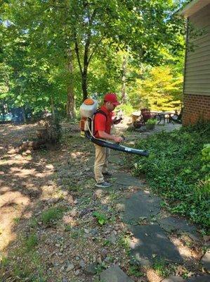 Mosquito Treatments April-October.