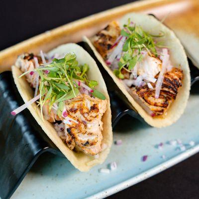 Grilled Salmon tacos